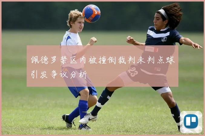 佩德罗禁区内被撞倒裁判未判点球引发争议分析