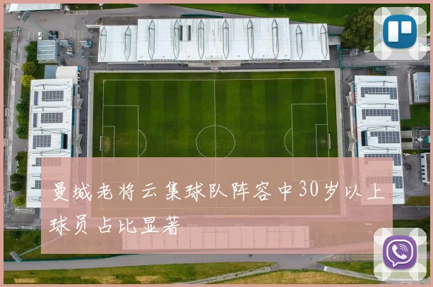 曼城老将云集球队阵容中30岁以上球员占比显著